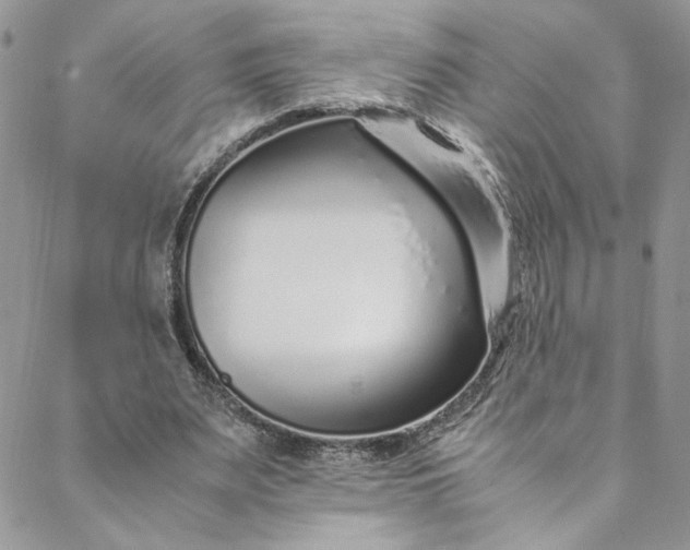 X0000088660487200706081706