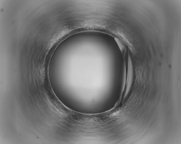 X0000088660488200706081706