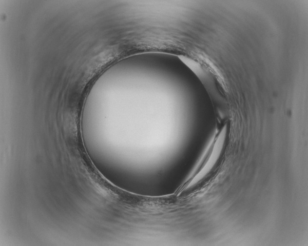 X0000088660489200706081706