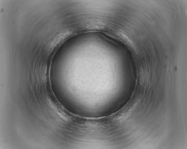 X0000088660490200706081706