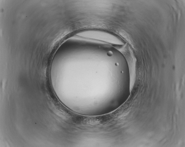 X0000088660491200706081706