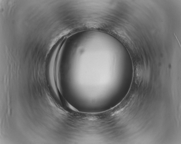 X0000088660492200706081706