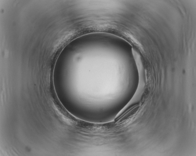 X0000088660493200706081706