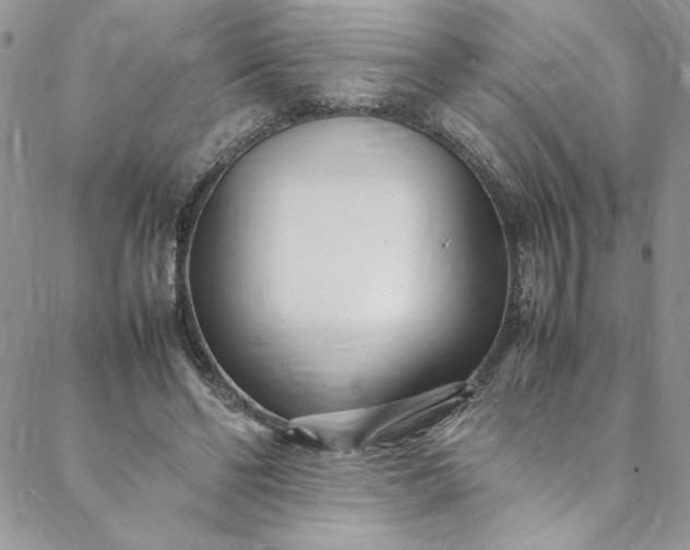 X0000088660494200706081706