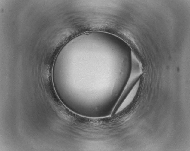 X0000088660495200706081706