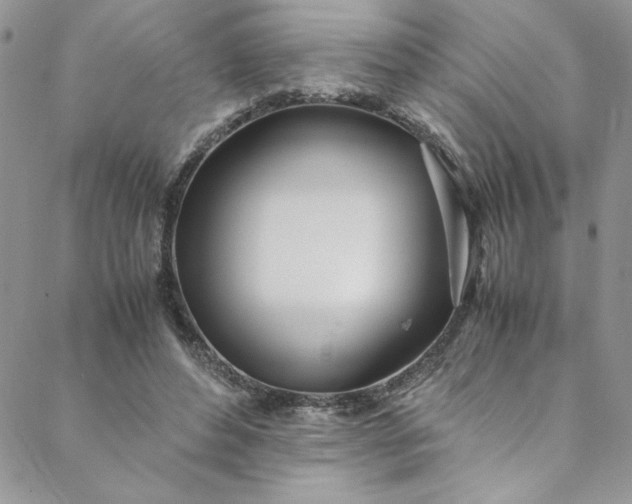 X0000088660496200706081706