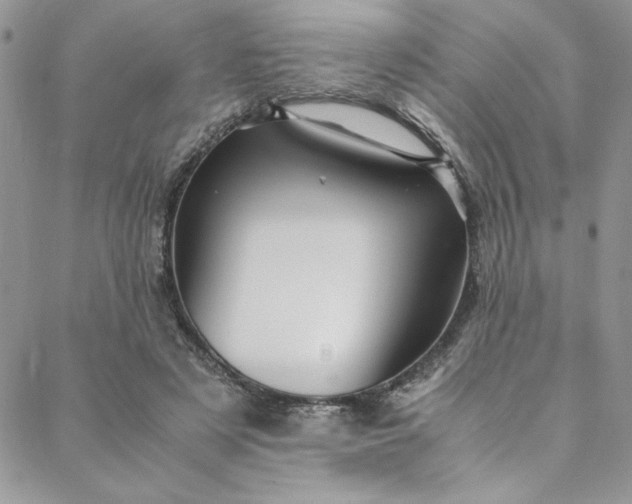 X0000088660497200706081706