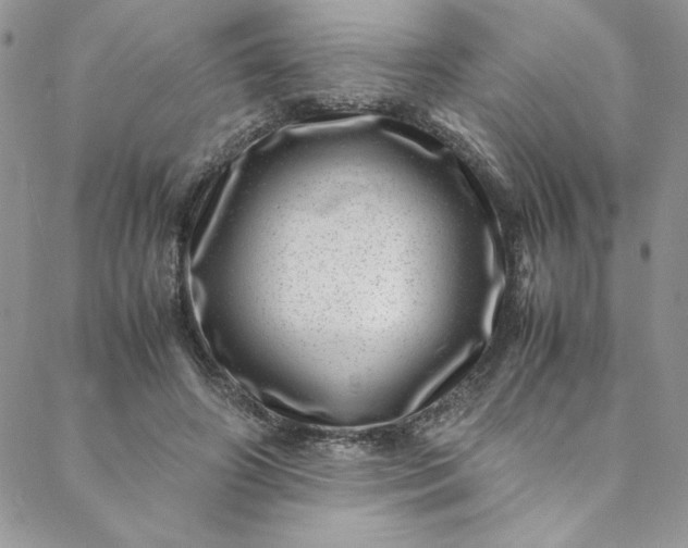 X0000088660498200706081706