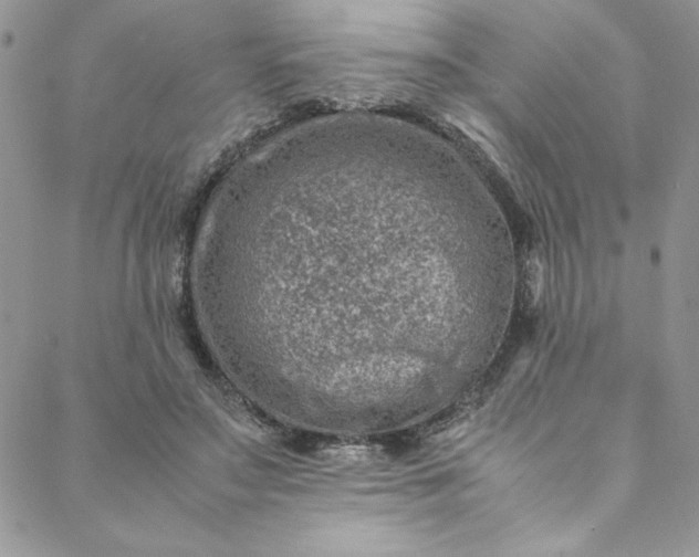 X0000088660499200706081706