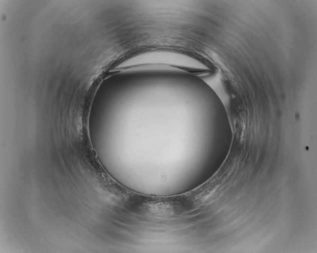 X0000088660500200706081706