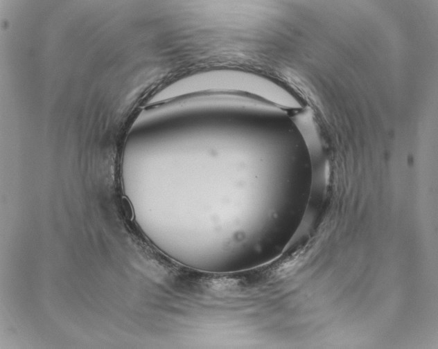 X0000088660501200706081706