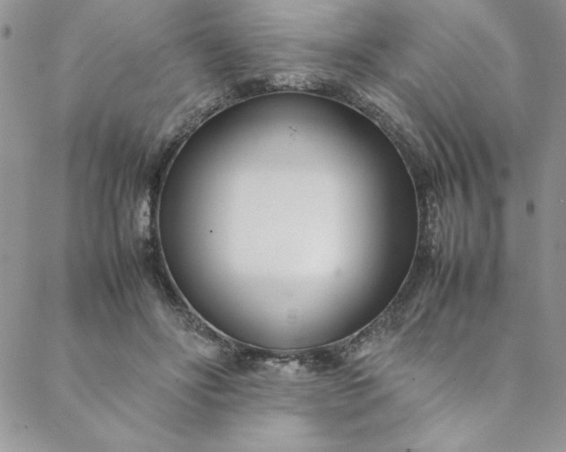 X0000088660502200706081706