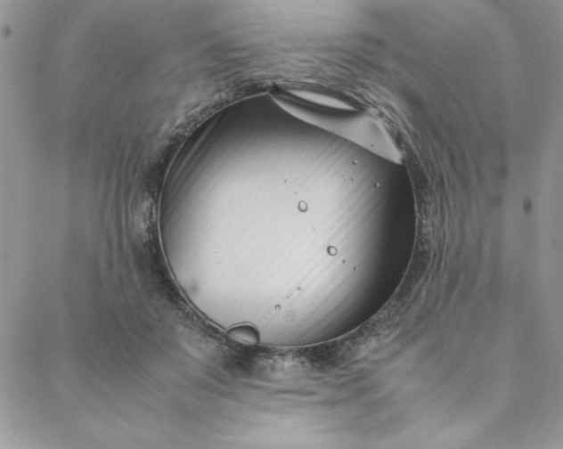 X0000088660503200706081706