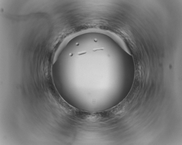 X0000088660504200706081706