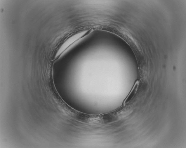 X0000088660505200706081706