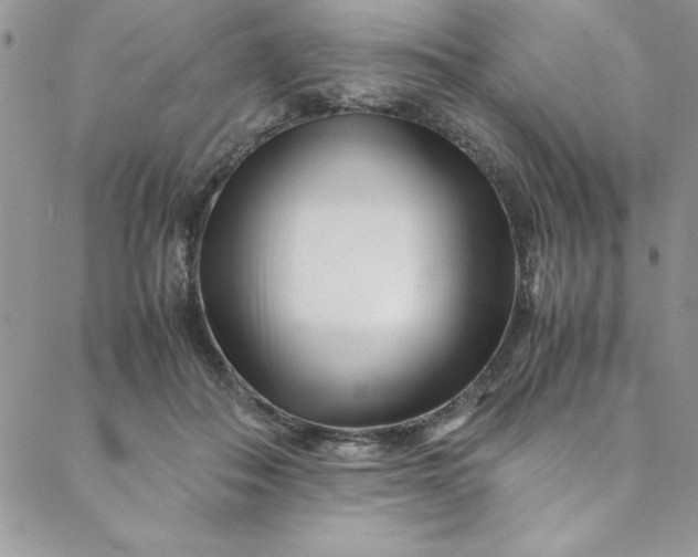 X0000088660506200706081706