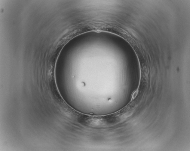 X0000088660507200706081706