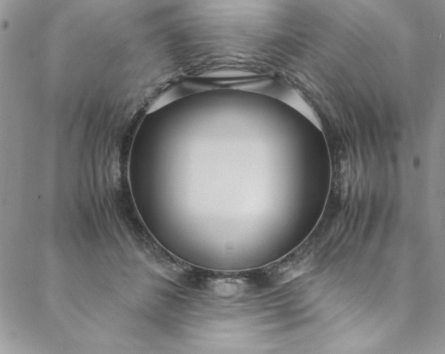 X0000088660508200706081706