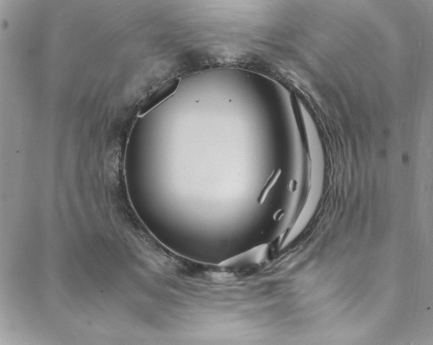 X0000088660509200706081706