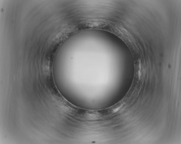 X0000088660510200706081706