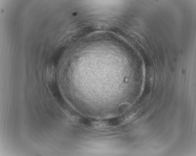 X0000088660511200706081706