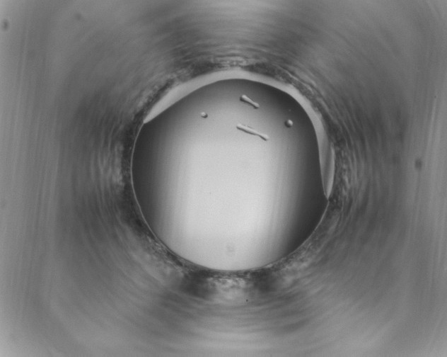 X0000088660512200706081706