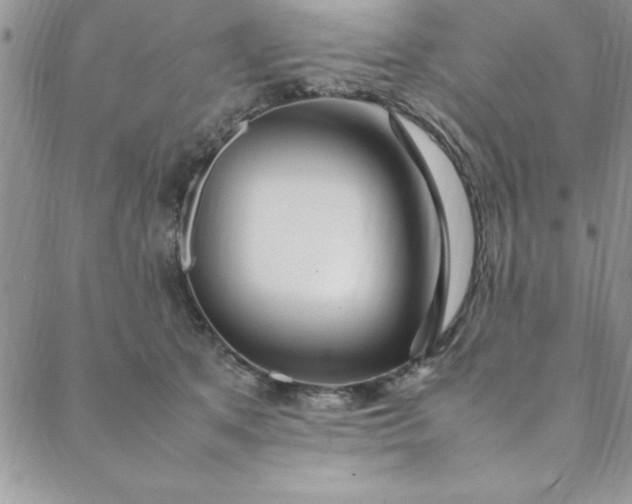 X0000088660513200706081706