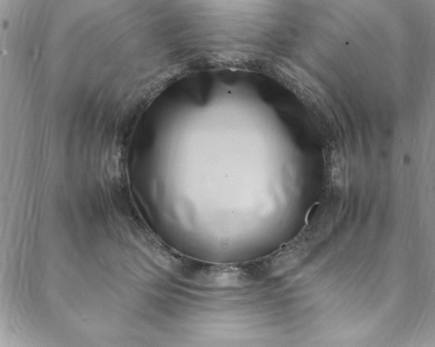 X0000088660514200706081706