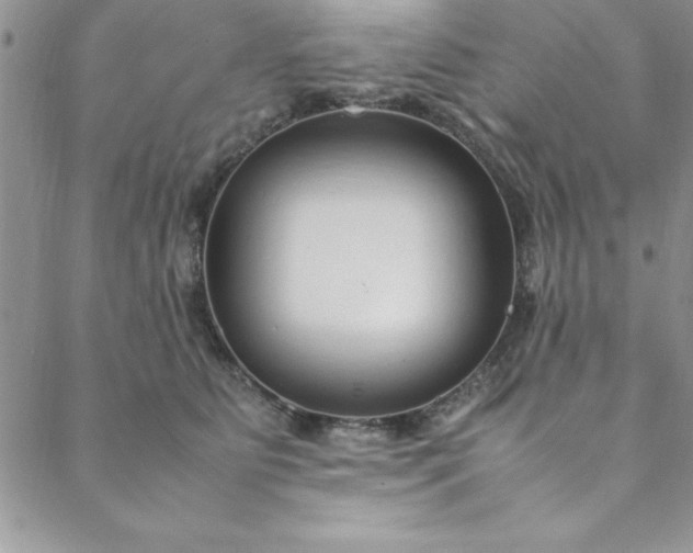 X0000088660515200706081706