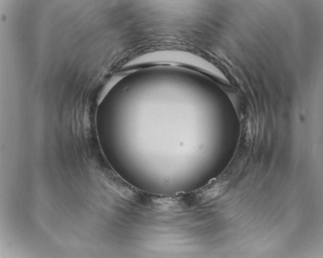 X0000088660516200706081706