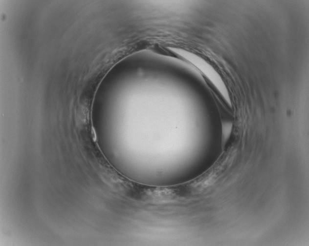 X0000088660517200706081706