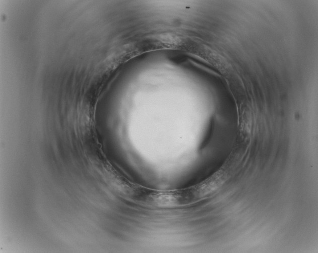 X0000088660518200706081706