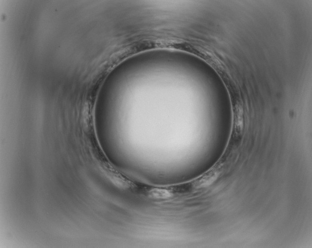 X0000088660519200706081706