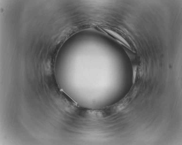 X0000088660520200706081706