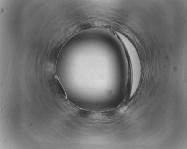 X0000088660521200706081706