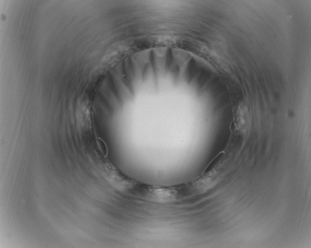 X0000088660522200706081706