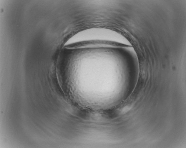 X0000088660523200706081706