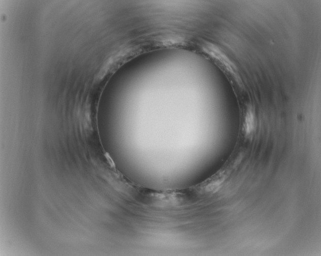 X0000088660524200706081706