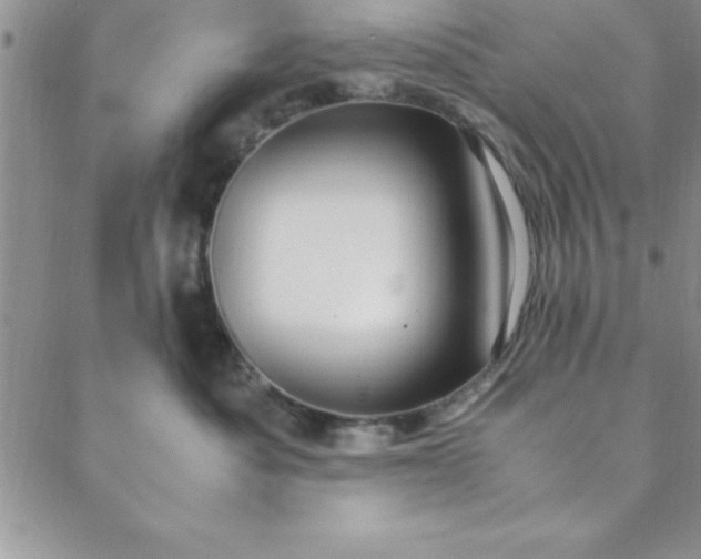 X0000088660525200706081706