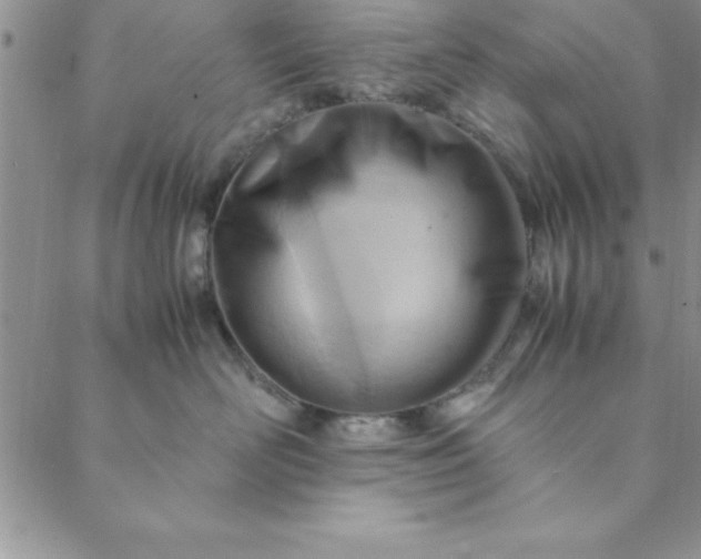 X0000088660526200706081706