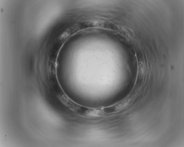 X0000088660527200706081706