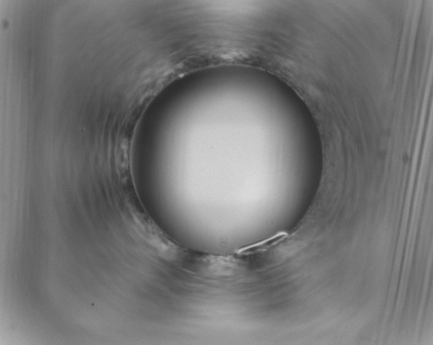 X0000088660528200706081706