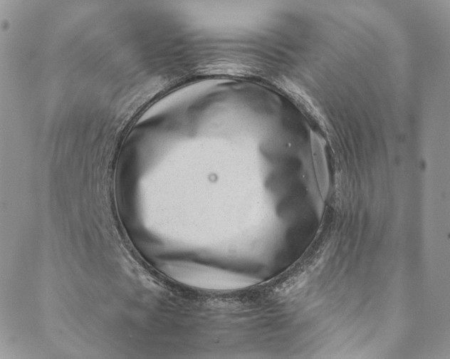 X0000088660529200706081705