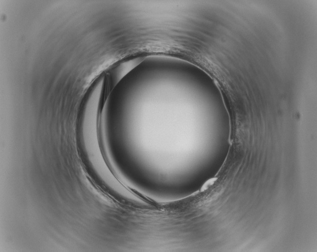 X0000088660530200706081705