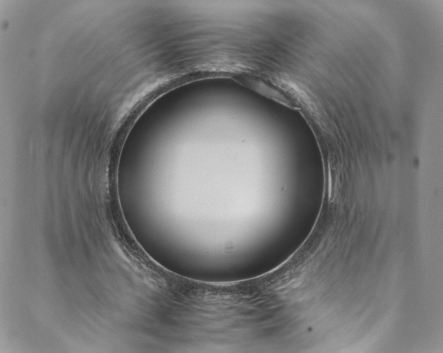 X0000088660531200706081705