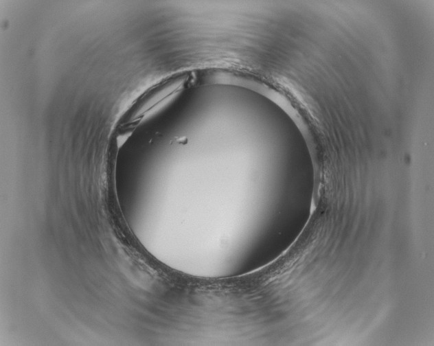 X0000088660532200706081705