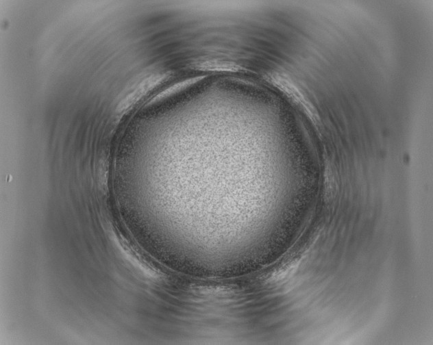 X0000088660533200706081705