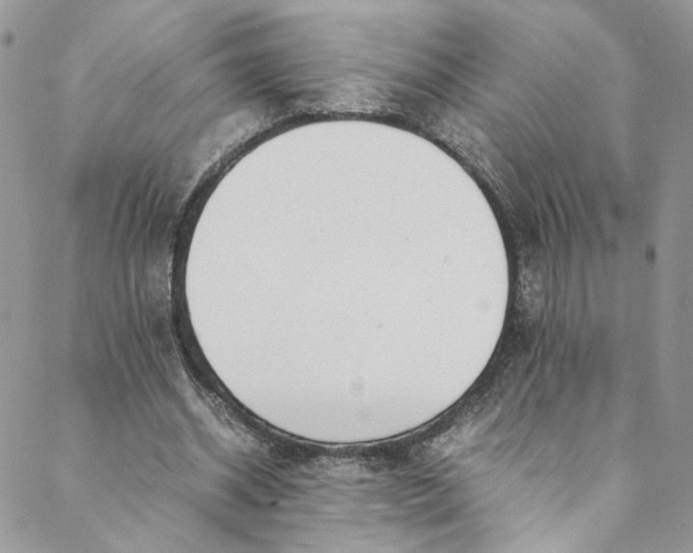 X0000088660534200706081705