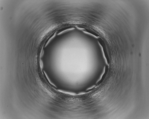 X0000088660535200706081705