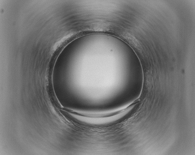 X0000088660536200706081705